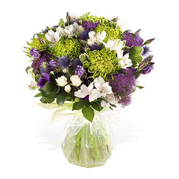 Purple and Green Beauty, fresh flowers for local delivery in the United Kingdom