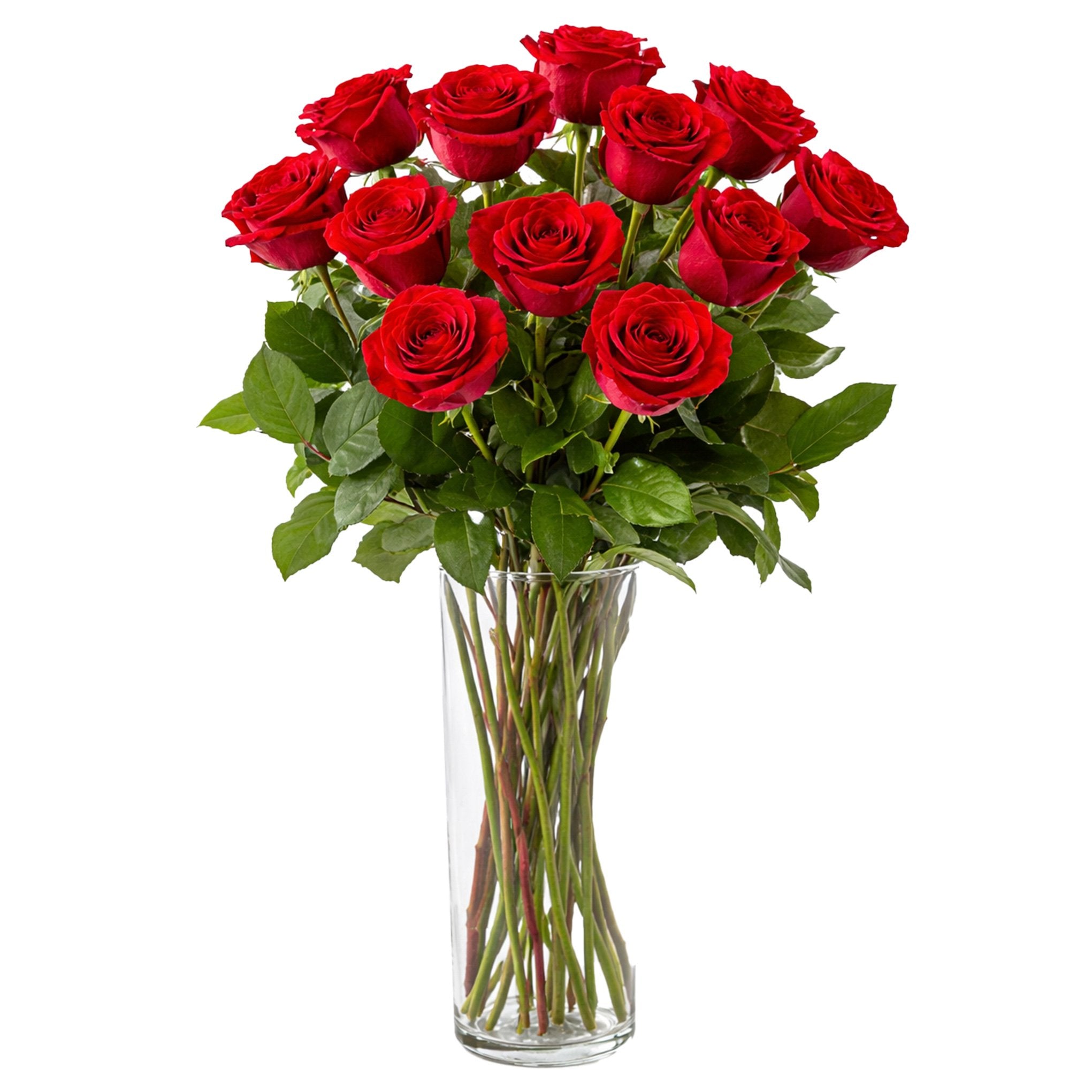 Twelve Red Roses Bouquet fresh flower arrangement