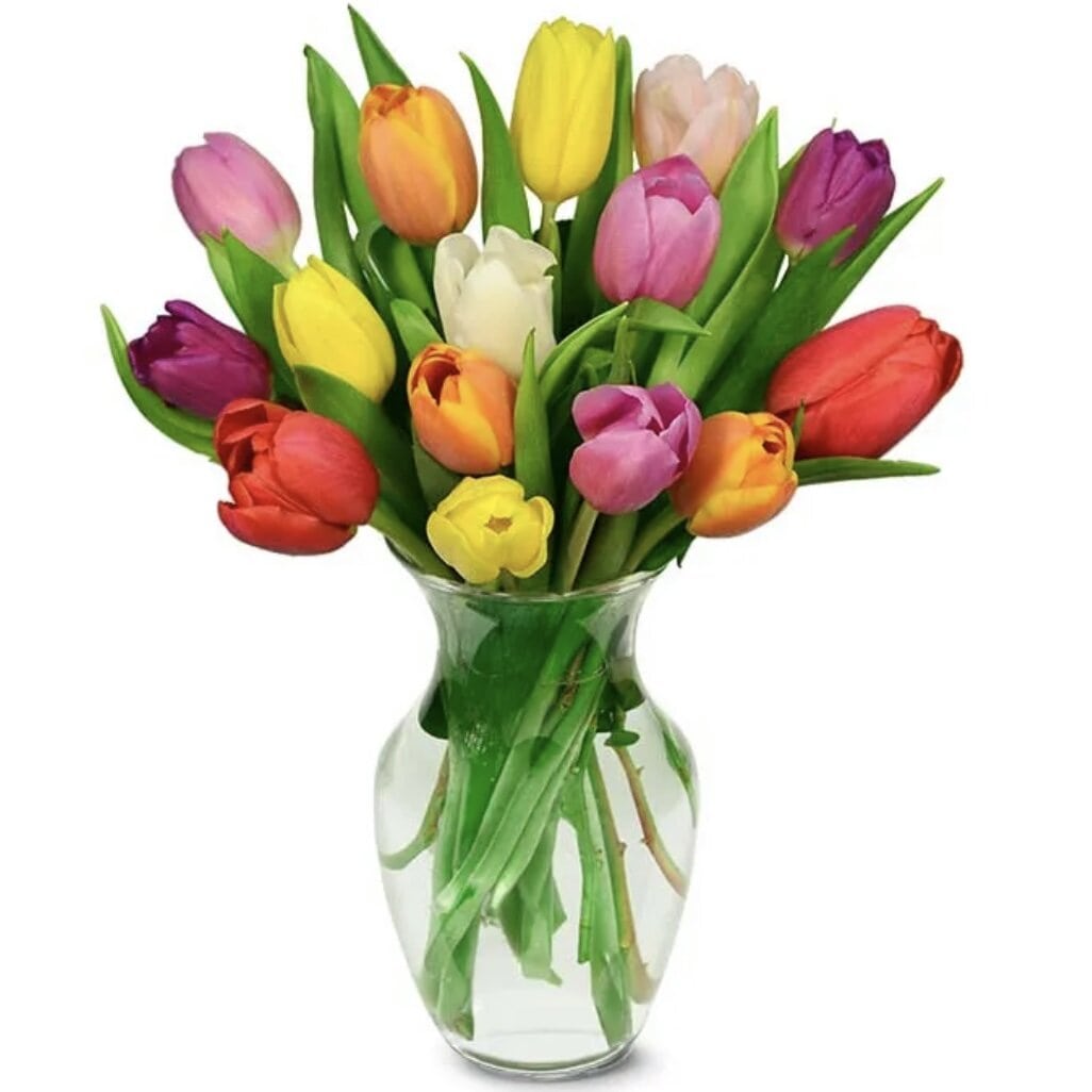 Charming Red Tulips Floral Arrangement gift available for delivery in the United States