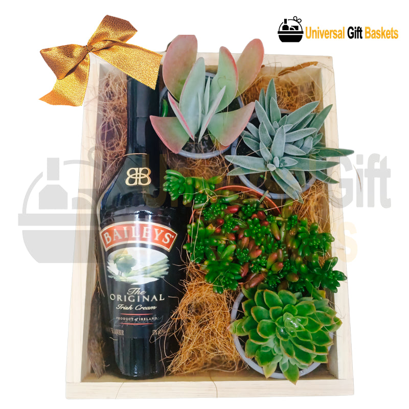 Baileys and Succulent Costa Rica Gift Basket