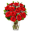 red roses flowers to usa eeuu
