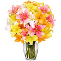 Bright Seasonal Lilies Bouquet gift available for delivery in the United States