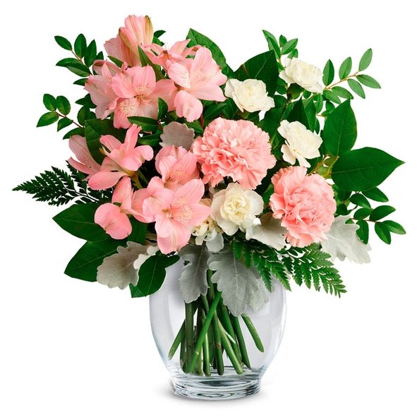 Refined Pink Carnations Blooming Arrangement gift available for delivery in the United States