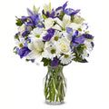 Graceful White Roses Blooming Arrangement gift available for delivery in the United States
