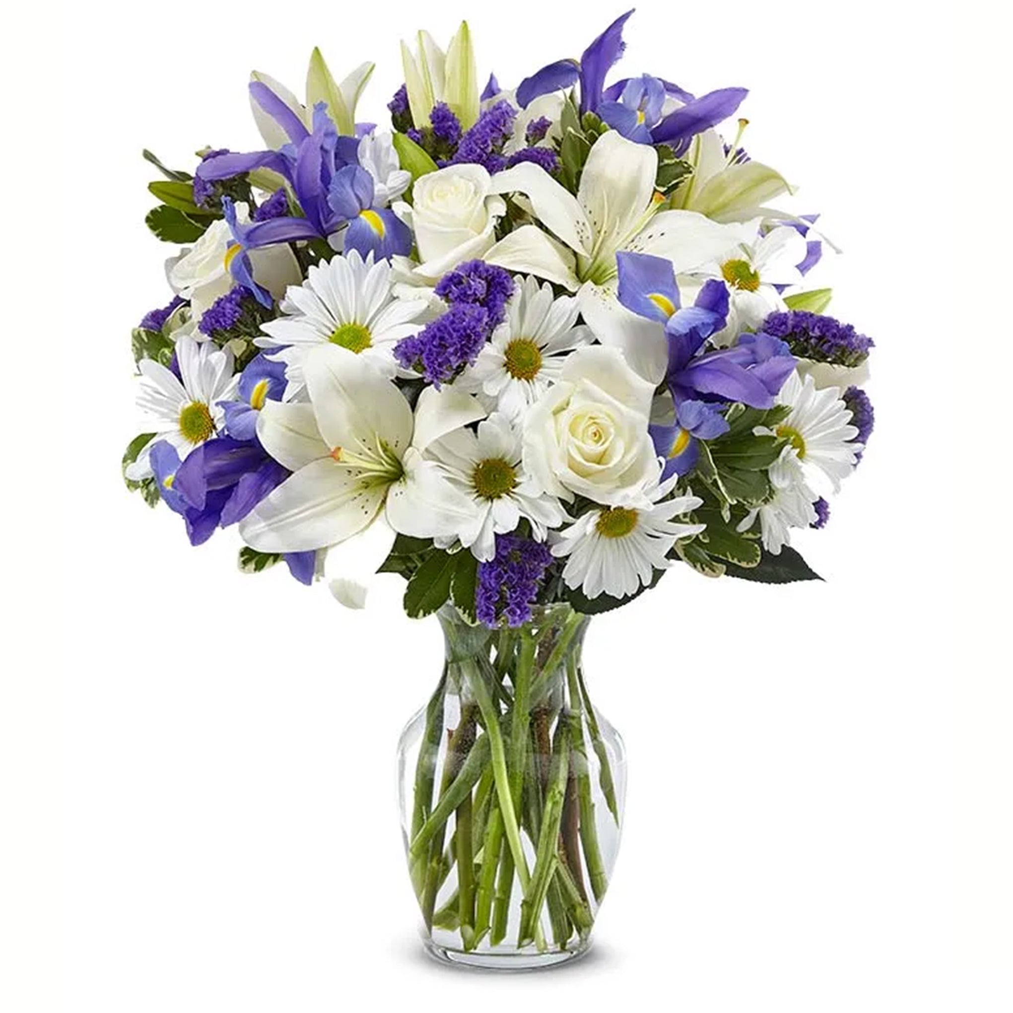 Graceful White Roses Blooming Arrangement gift available for delivery in the United States