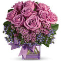Premier Purple Roses Flower Collection gift available for delivery in the United States