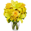 Celebration Yellow Roses Floral Arrangement gift available for delivery in the United States