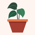 Planta en maceta