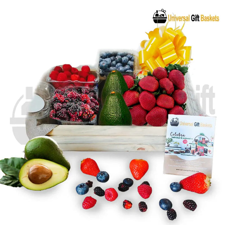 Conjunto de frutas premium 