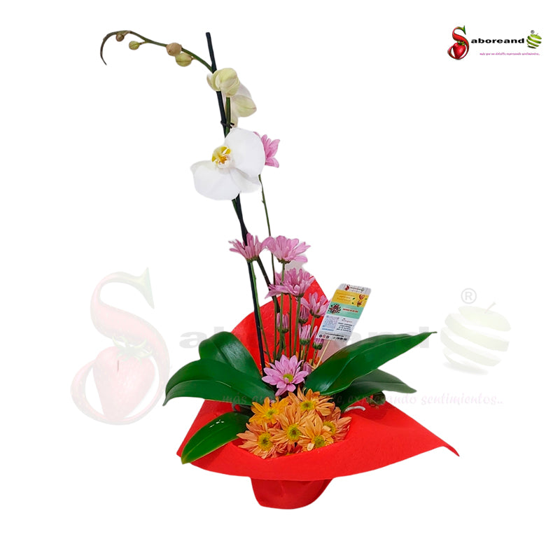 Orchid gift Costa Rica