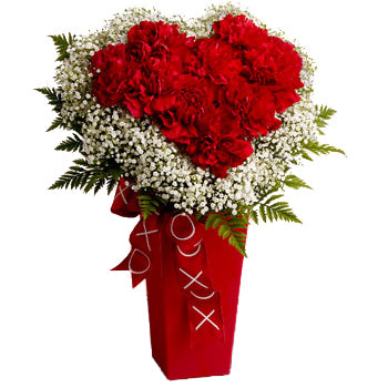 Love in Bloom Carnation Arrangement, fresh flowers delivered in Costa Rica