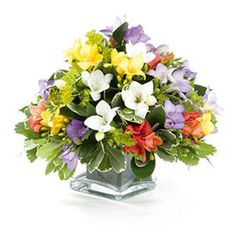 Original floral product photo UK-3291