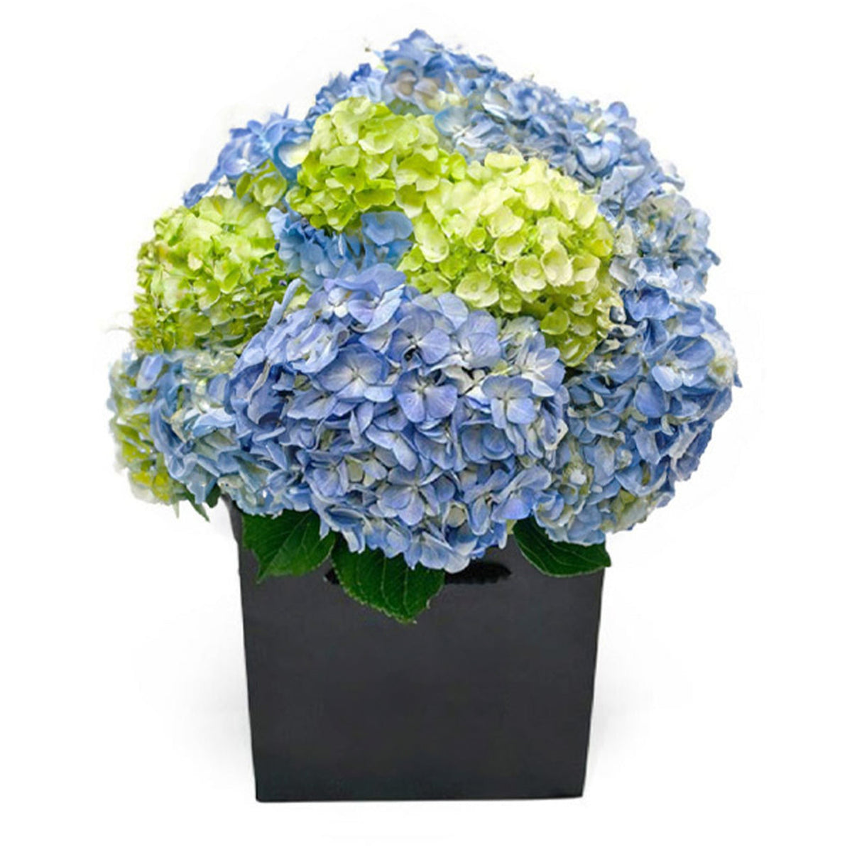 Hydrangea Mixed Bouquet, bouquet for local flower delivery in the United Kingdom