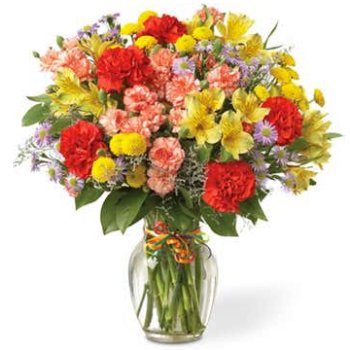 Merry Morning with Alstromeria and Carnations fresh flowers for delivery in the United States