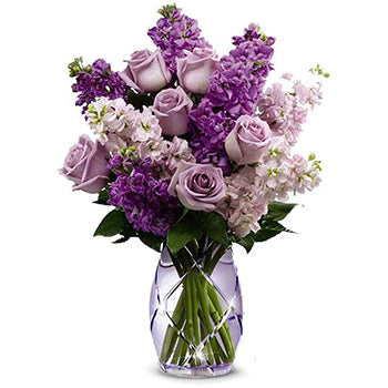 Lavender Haze fresh flowers for delivery in the United States