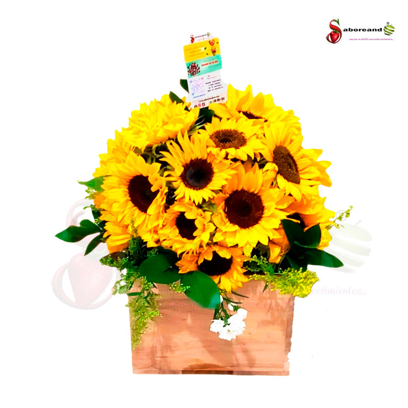 Wooden box with 24 sunflowers in Costa Rica
