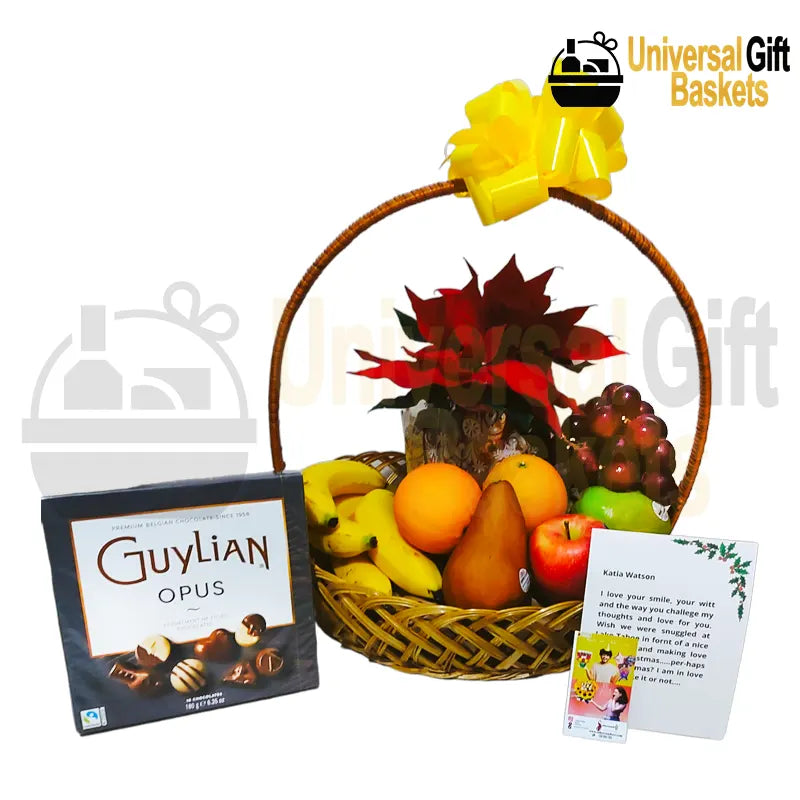 Christmas plants, fruits and chocolates