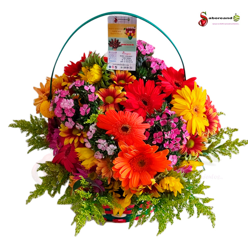 Spring-style wicker basket arrangement, Costa Rica florist